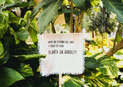 Ana Beltrá. Sindicato del Platón Unido Demonstration, Installation with plants and banners, Parque Doramas, Las Palmas de Gran Canaria, 2022